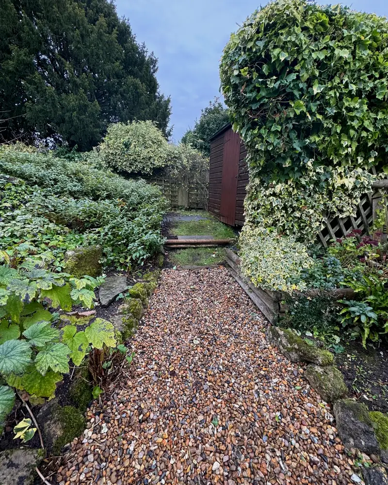 Fresh turf laid to a clean edge