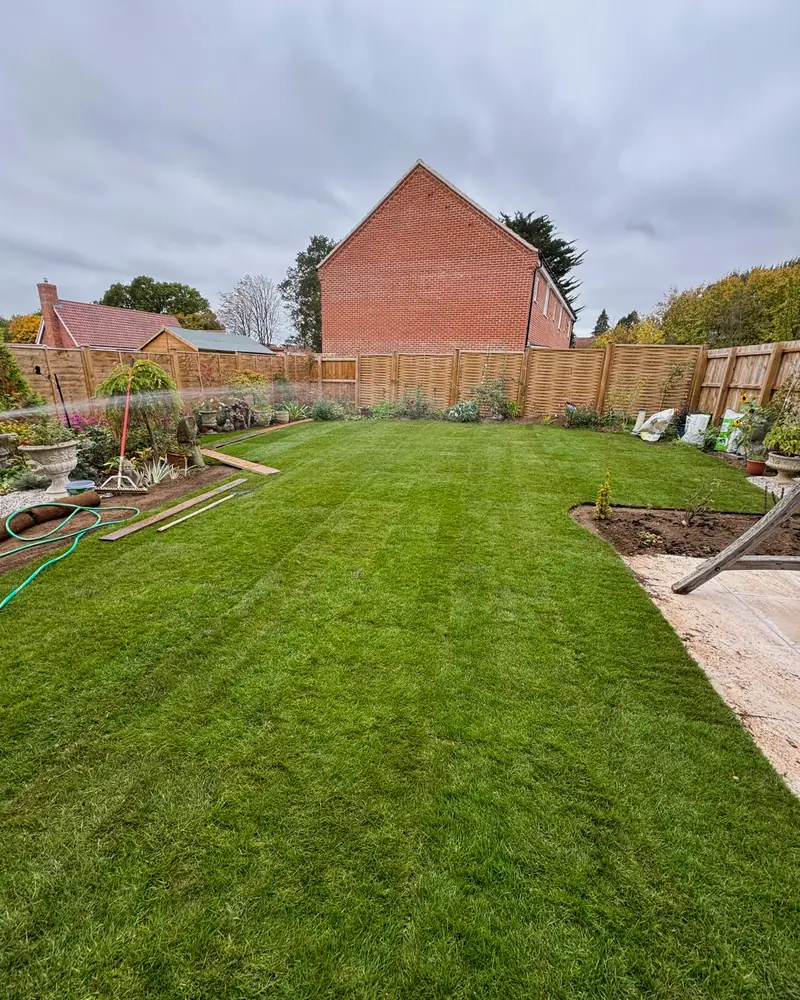A tired lawn brought back to life