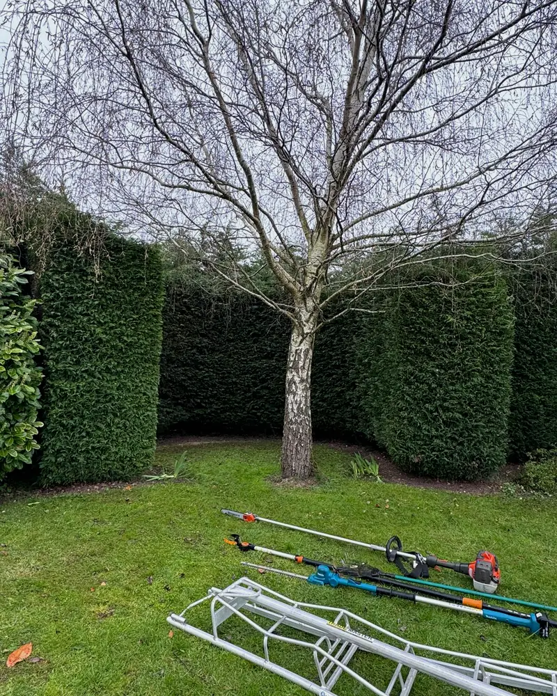 Grounds kept sharp and in order — real garden work by Chimney Green